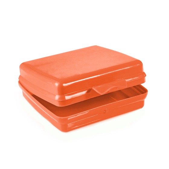 Orange Sandwich Container BPA Free